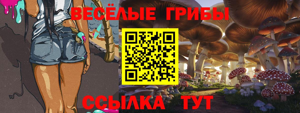купить закладку  Псилоцибиновые грибы прущие грибы  Вход с VPN  Нальчик 