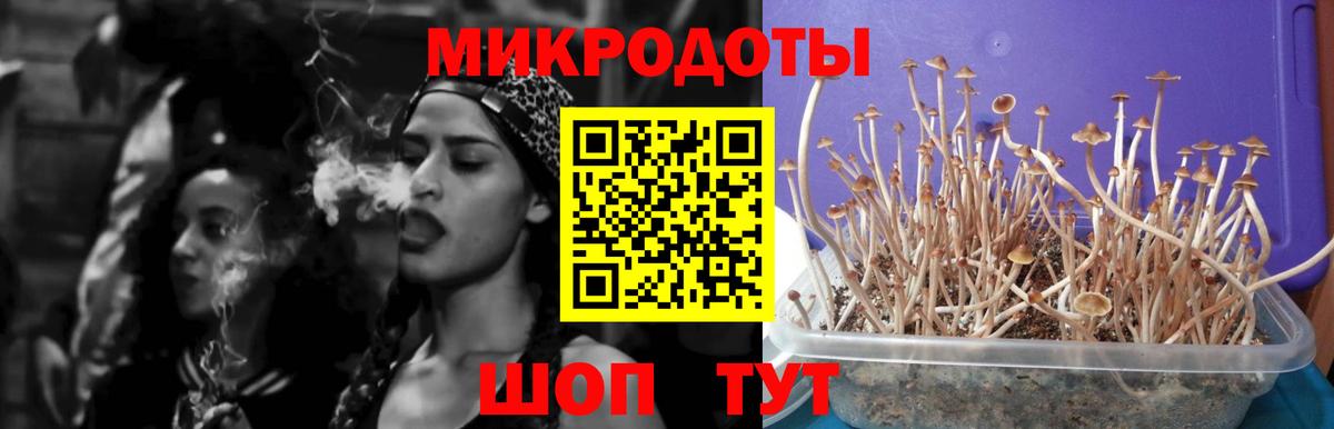 Псилоцибиновые грибы мицелий Нальчик